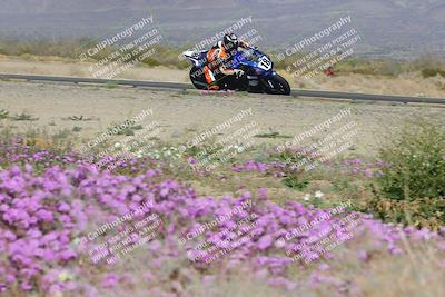 media/Feb-04-2023-SoCal Trackdays (Sat) [[8a776bf2c3]]/Turn 15 Inside Blooming (1050am)/